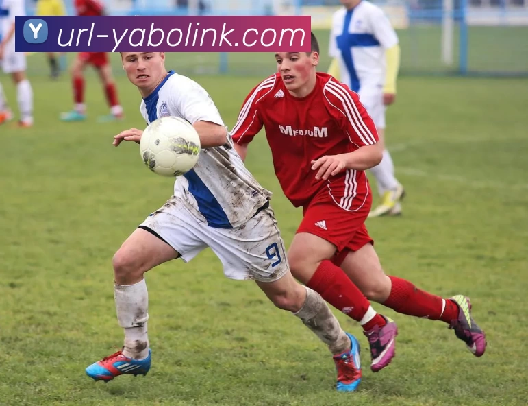 亚博体育APP 封面图