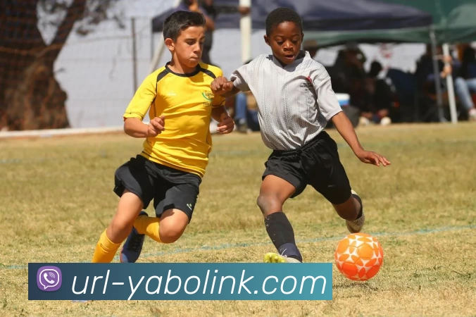 数据防护可视化