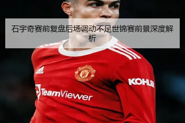 石宇奇赛前复盘后场调动不足世锦赛前景深度解析